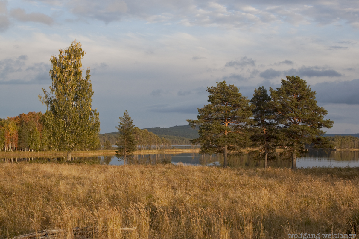 lake-view