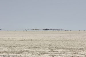 Kein Wasser, Etosha-Nationalpark, Namibia