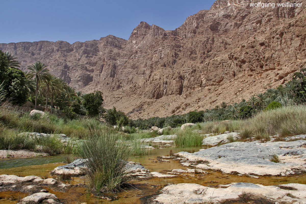 Wasser in der Wüste, Wadi Tiwi, Oman