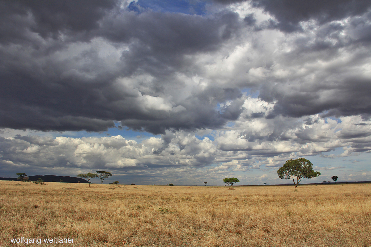 Himmel über der Serengeti 