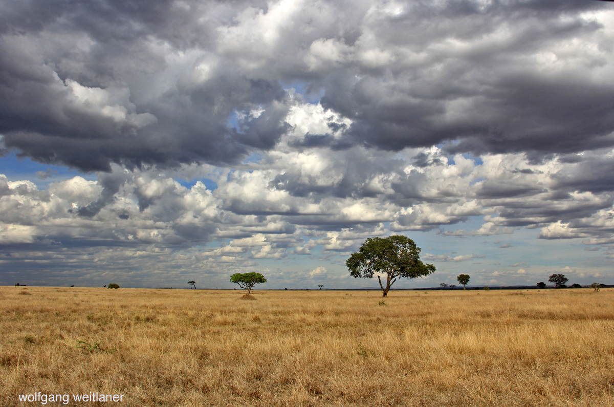 Himmel über der Serengeti 