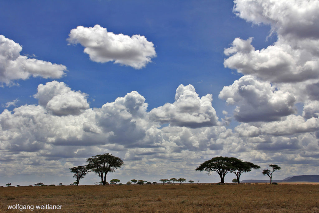 Himmel über der Serengeti, Serengeti-Nationalpark, Tansania
