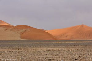 Einsamkeit in der Wüste Namib, bei Sossusvlei, Namibia